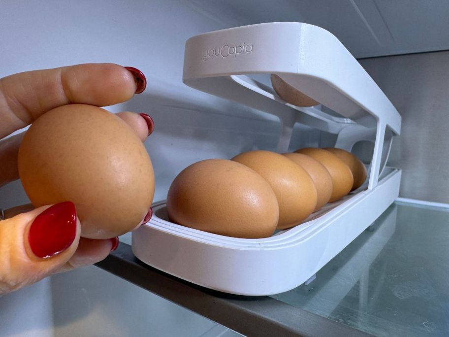 roll down egg dispenser in fridge with person holding egg