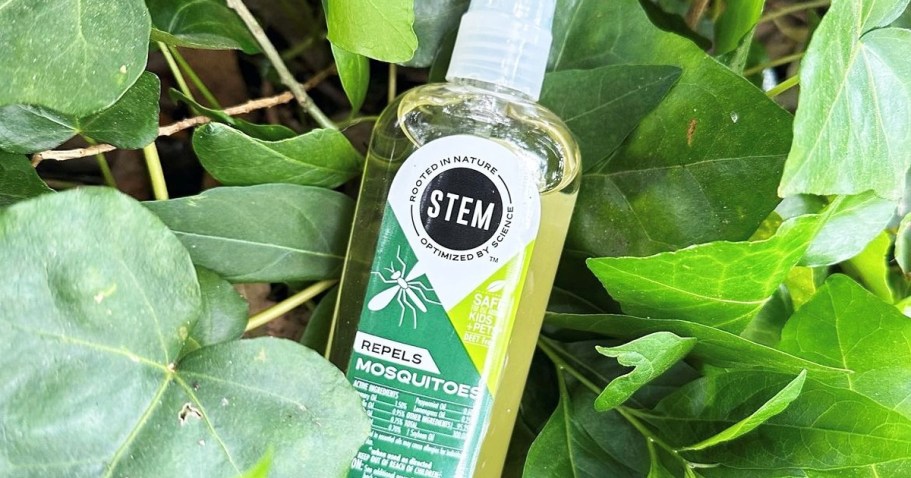 STEM Mosquito Repellent Spray Only $3 Shipped on Amazon