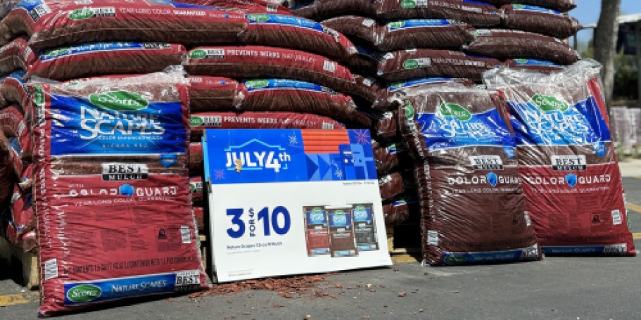 Lowe’s 4th of July Doorbuster Deals Extended | Save on Plants, Mulch, Grills, & More