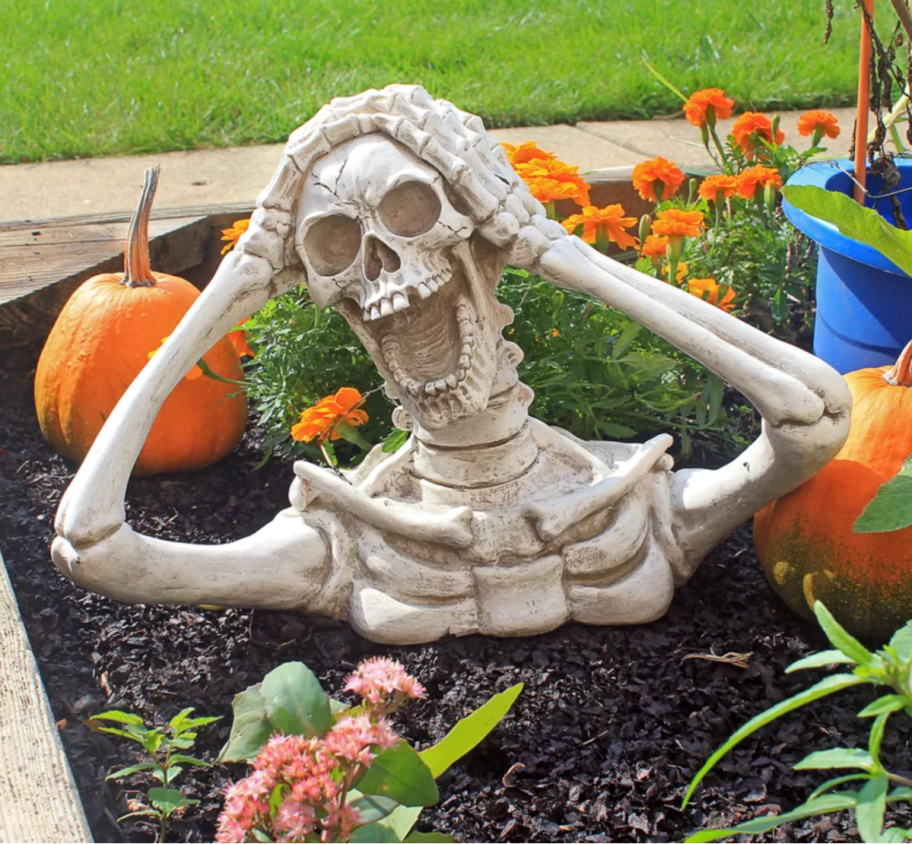 Shrieking Skeleton Halloween Decoration from Wayfair