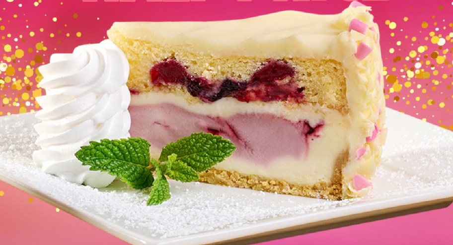 Slice of cheesecake factory berry flavor