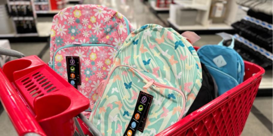 WOW! Summit Ridge Backpacks Only $5 at Target – Pockets, Laptop Sleeve, & More!