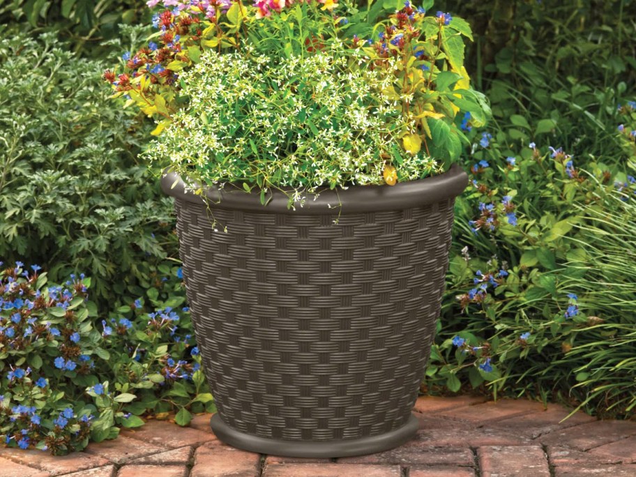 plants in a large brown plastic planter