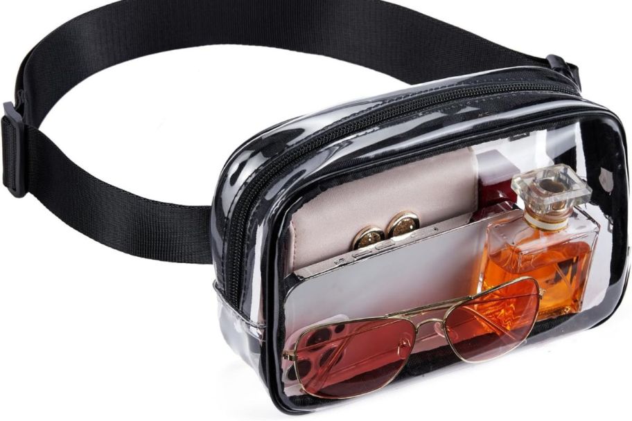 A Telena Clear Belt Bag