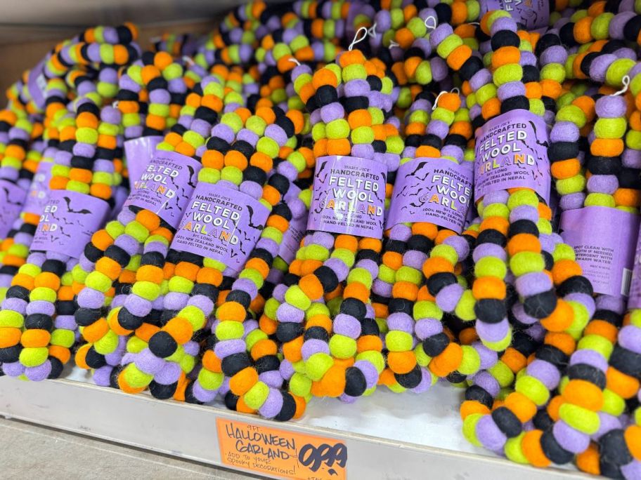 Trader Joe's Halloween Felted Wool Garland in store