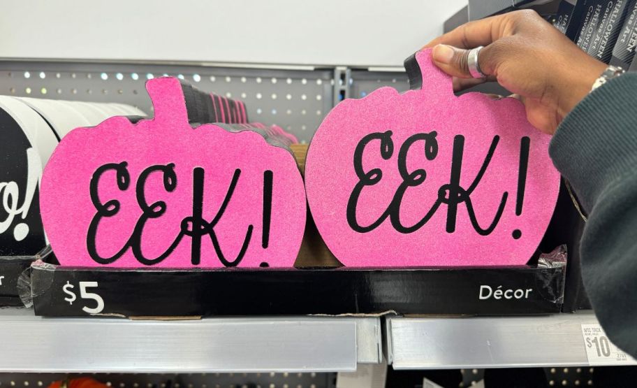 pink pumpkin shaped eeg wooden wall sign