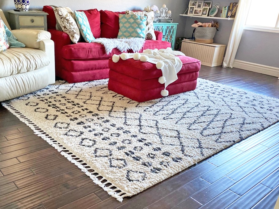 white and grey shag rug under a red loveseat and ottoman