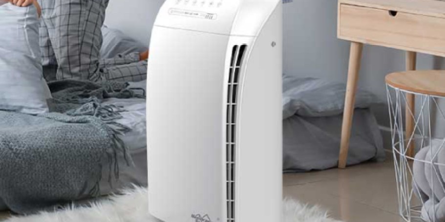 Hepa Air Purifier Only $68 Shipped for Amazon Prime Members | Removes 99.97% Allergens