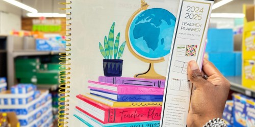 ALDI’s Teacher Planner Available NOW | Includes Lesson Plan Pages, Stickers, & More!