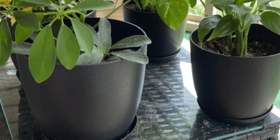 Gardening Pots 20-Pack Only $12.99 on Amazon (Reg. $27) | Stackable Design w/ Drainage!