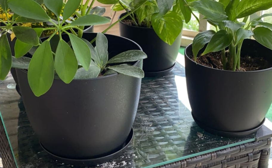 black planter pots 