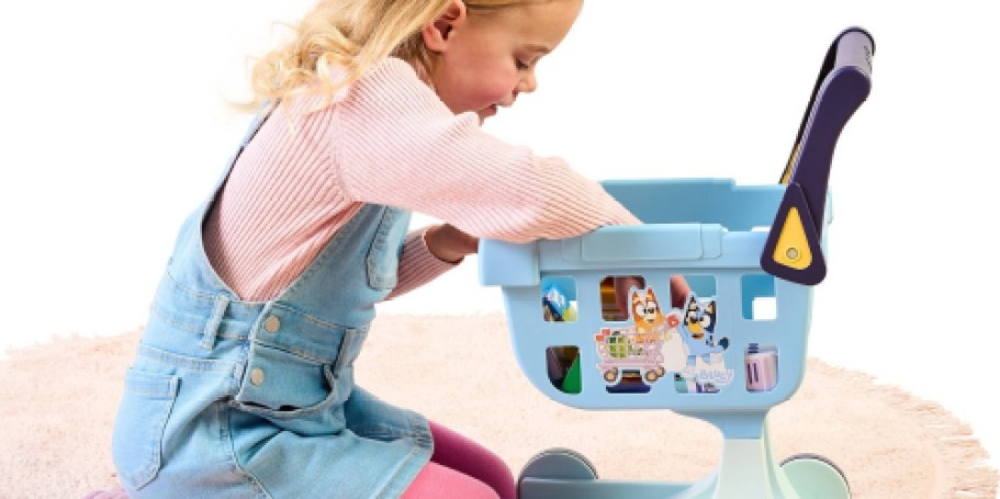 NEW Bluey Shopping Cart Available on Target.com (May Sell Out)