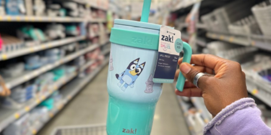 Zak Designs Character Tumblers Just $12.98 on Walmart.com | Bluey, Barbie, Hello Kitty, & More!