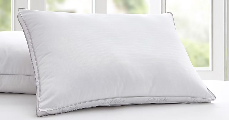 Claritin Anti-Allergy Pillows Only $19.99 on JCPenney.com (Reg. $54)