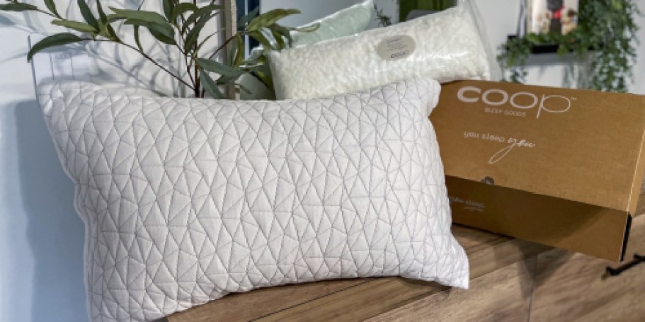 Coop Adjustable Memory Foam Pillow Just $60 Shipped for Amazon Prime Members