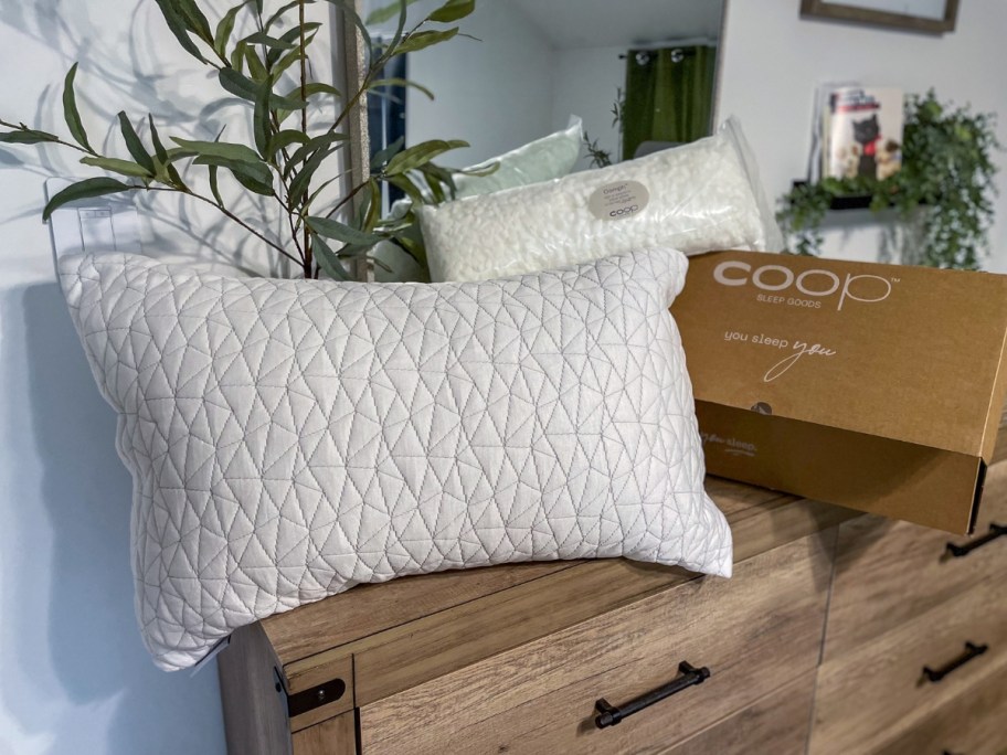 coop home memory foam pillow next to a box