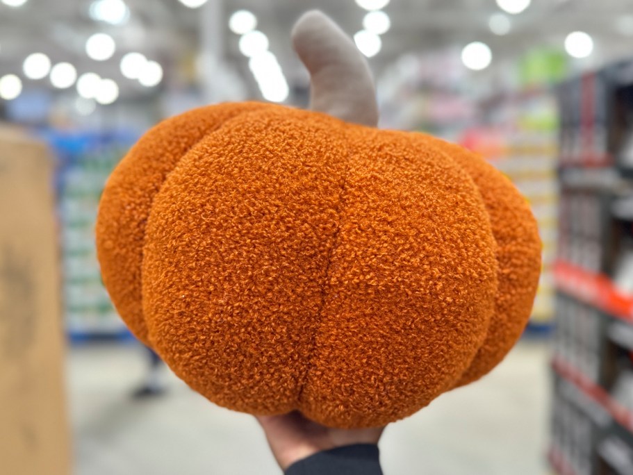 Costco Fall & Halloween Throw Pillows ONLY $9.99 – Ghost, Bat, and ...