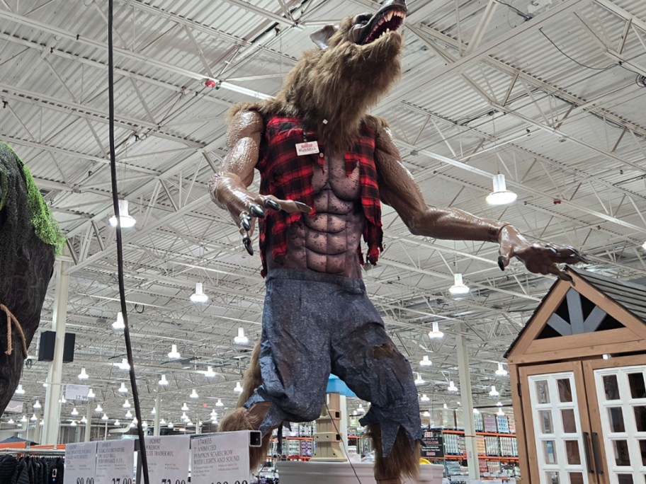 werewolf halloween decor