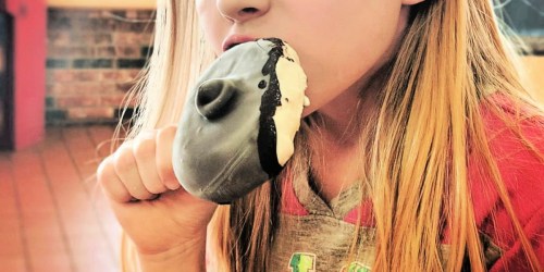 Dairy Queen Is Giving Away FREE Dilly Bars Starting 7/13 (Just Spend $1)