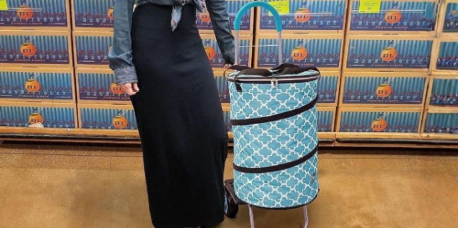 Trolley Dolly Folding Cooler Only $29.99 Shipped (Reg. $89) | Carries Up to 110 Pounds!