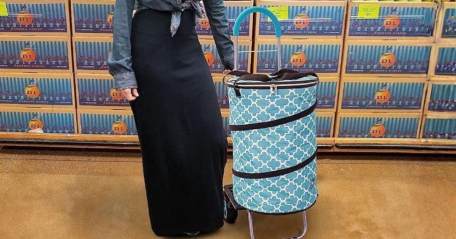 woman standing next to dbest products Bigger Cooler Trolley Dolly Folding Cooler in grocery store