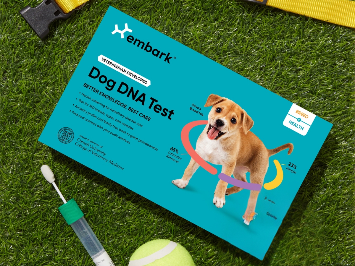 60 Off Embark Dog DNA Health Test Find Your Dog s Breed Relatives Health Risks Hip2Save