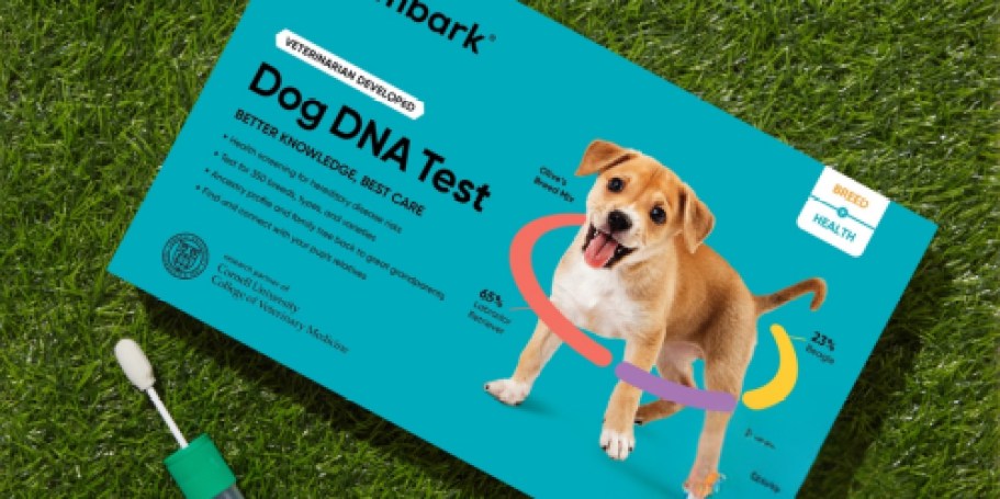 Embark Dog DNA + Health Test Only $127 Shipped | Find Your Dog’s Breed, Relatives, & Health Risks!