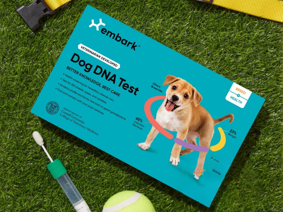 Embark Dog DNA Test + Health in a blue box on grab, swab kit and tennis ball beside it