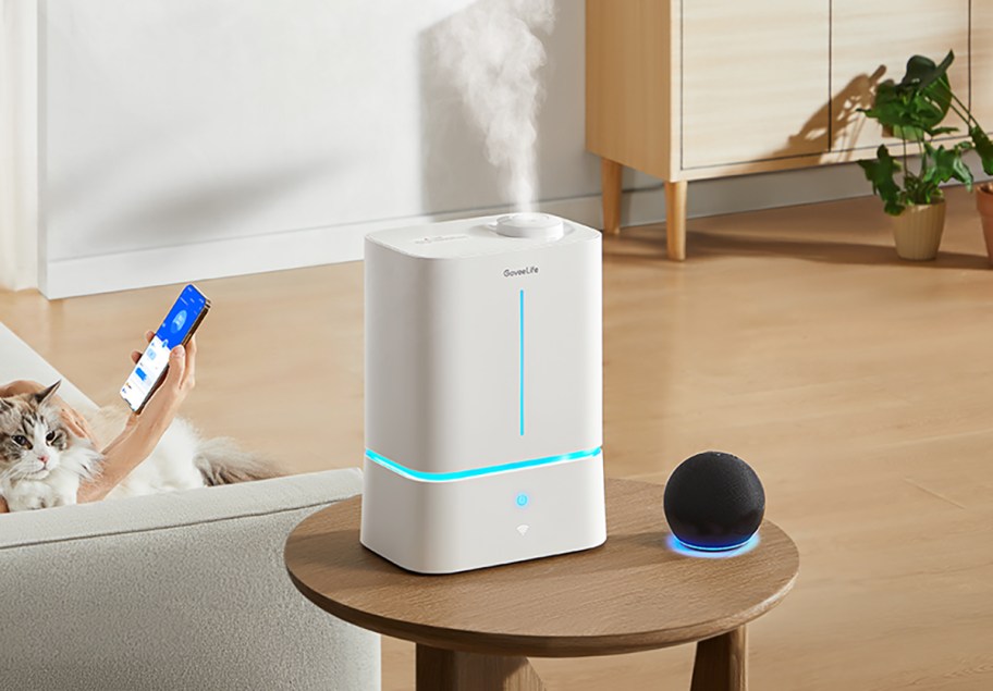 humidifier on table