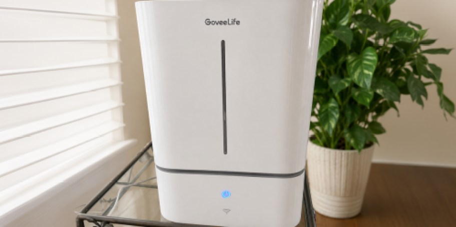 Govee Smart Humidifier Only $32.99 on Amazon | Control With Your Phone or Alexa!