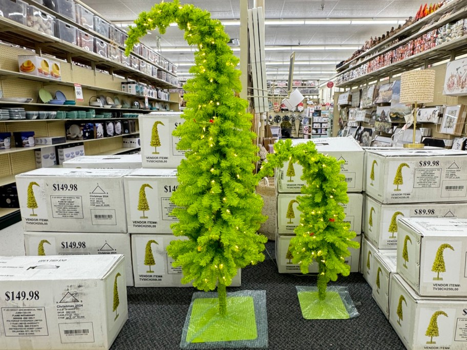 tall and short green christmas trees in store