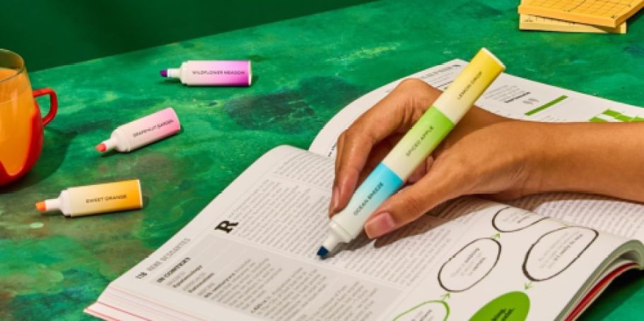 Lifelines Sensory Stacking Highlighter 2-Pack ONLY $6 Shipped w/ Amazon Prime (Reg. $10)