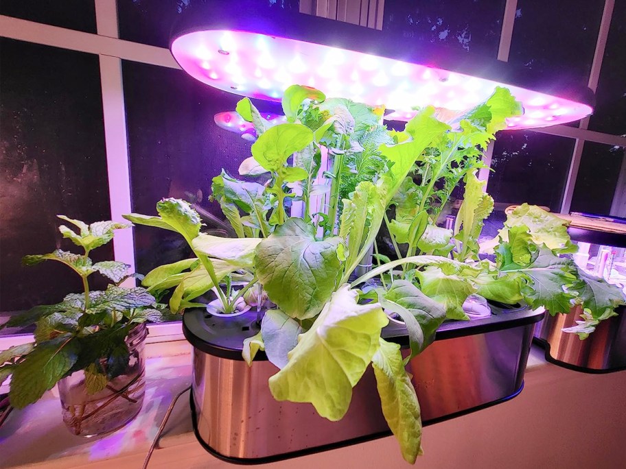 silver and black hydroponics garden system on table with veggies