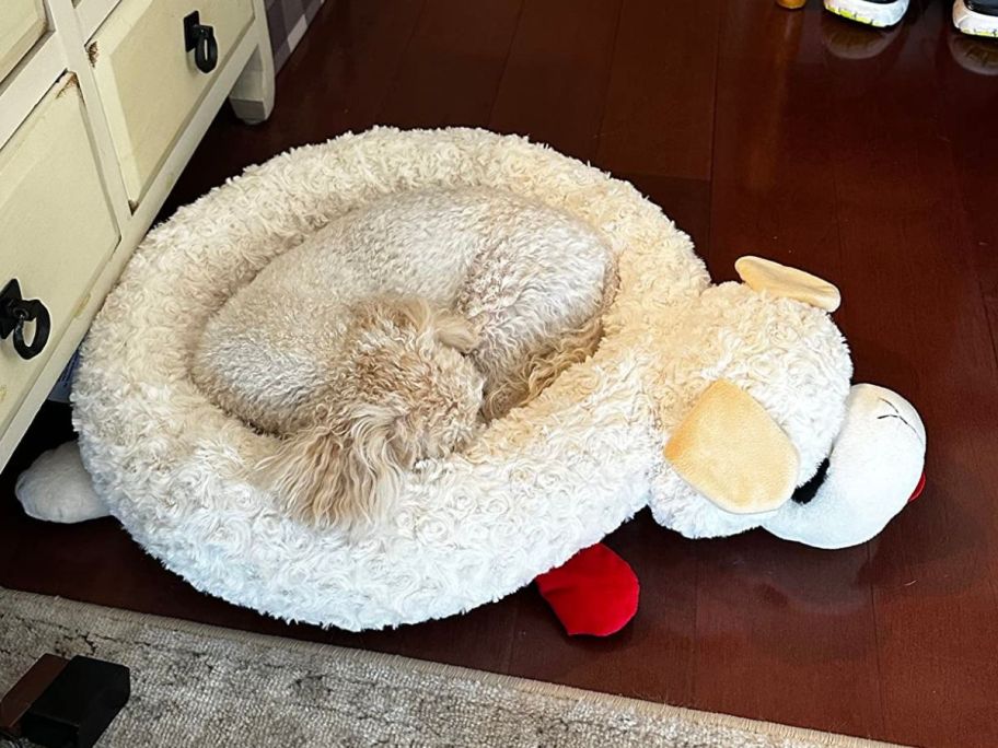dog laying in Multipet Lamb Chop Dog Bed