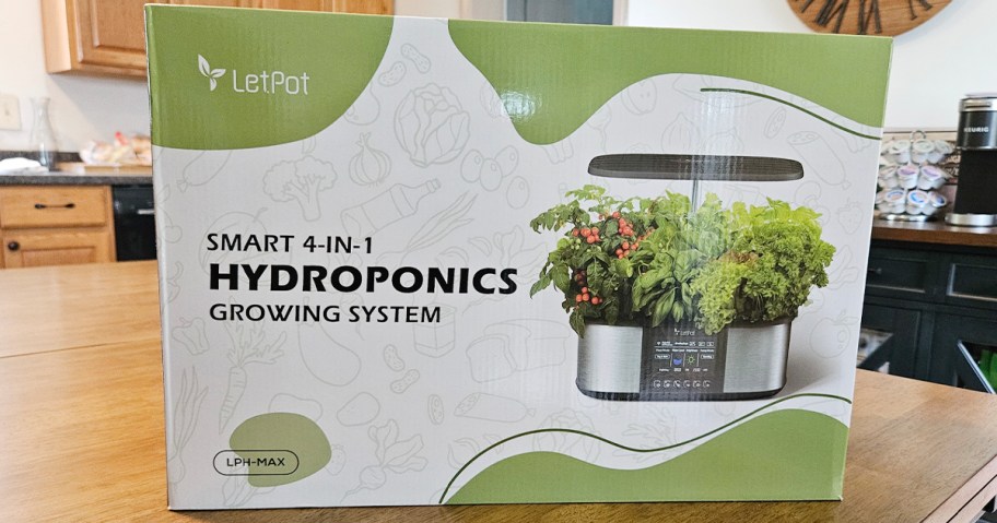 hydroponics garden in box on table