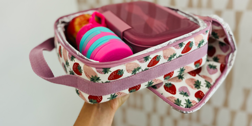 6 Best Lunch Bags for Kids (Top Pick Only $10 and Selling Fast!)