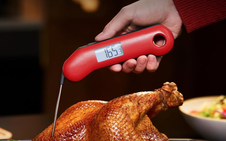 hand poking meat thermometer in turkey