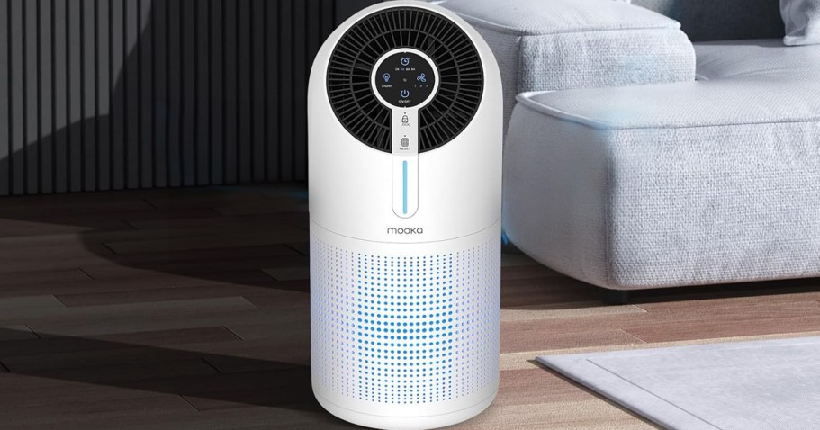 HEPA Air Purifier Only $37.56 Shipped for Amazon Prime Members | Great for Large Rooms