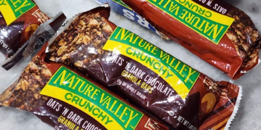 TWO General Mills Snack Packs Only $1 After Rebate