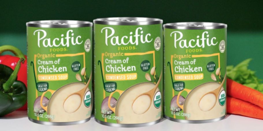 Pacific Foods Organic Cream of Chicken Soup 12-Pack Only $12 Shipped on Amazon