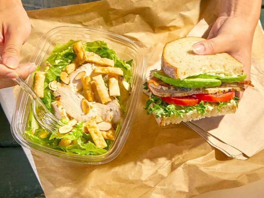 hands holding salad and sandwich on lap