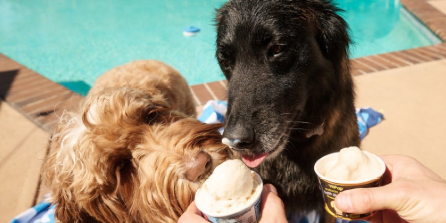 Pups Get FREE Ice Cream at Petco on 7/19