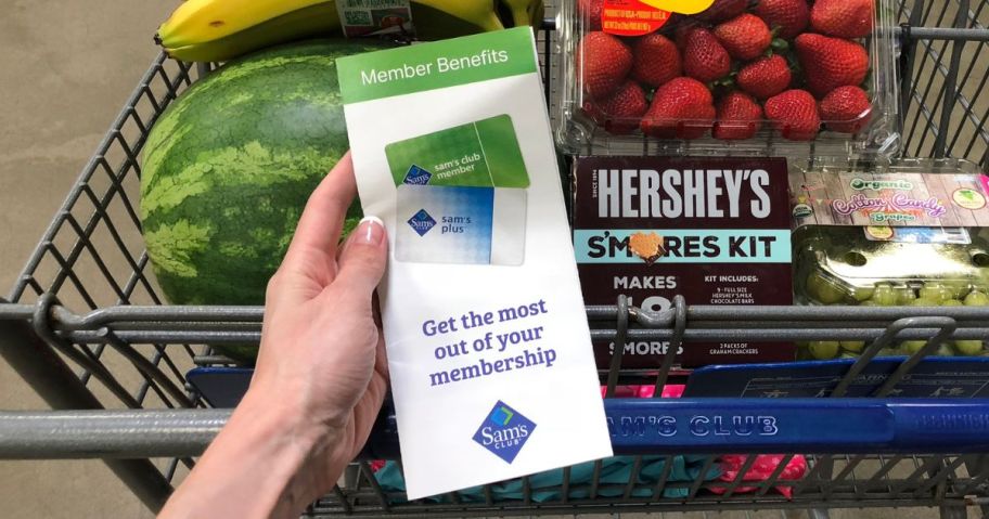 sam's club cart filled with groceries and hand holding membership brochure above it