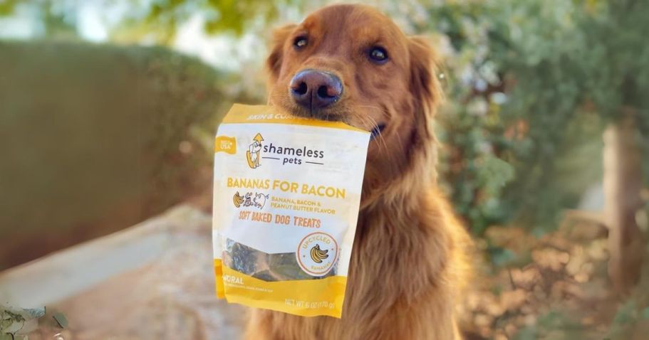 Shameless Pets Dog Treats Only $2 Shipped on Amazon (Reg. $9)