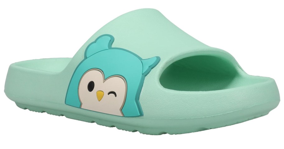 teal squishmallows slide with a winking owl pictured on the side