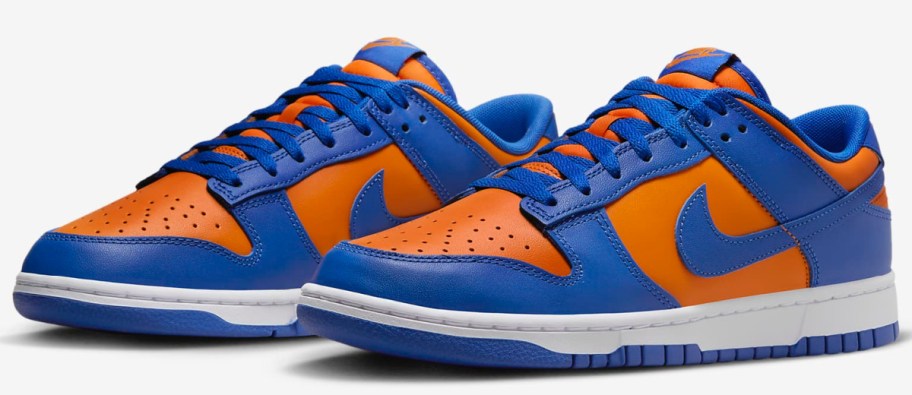 stock image of Nike Dunk Low Retro Men's Shoes 