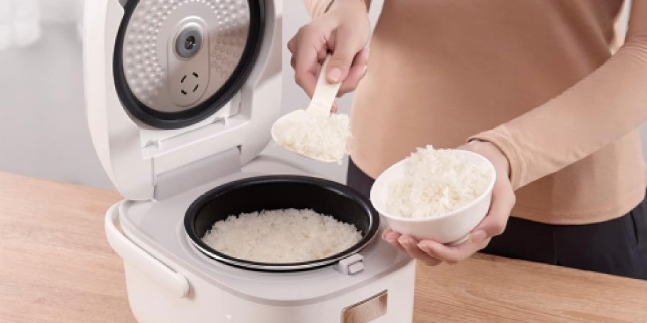 TOSHIBA Rice Cooker Only $74.96 Shipped for Prime Members (+ Make Stew, Cake, & More!)