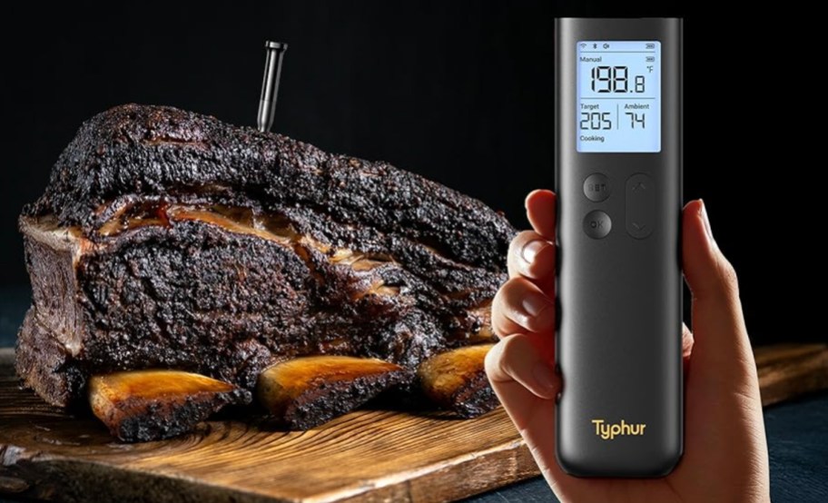 hand holding base while thermometer is in meat