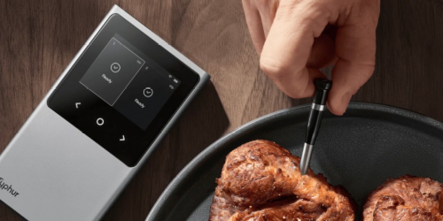 Wireless Meat Thermometer w/ 2 Probes Only $149 Shipped for Amazon Prime Members