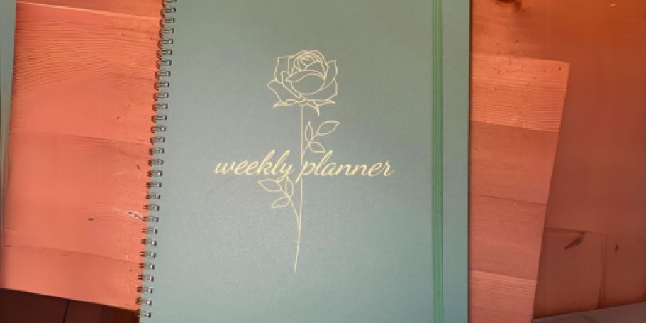 2025 Planners Only $4.49 on Amazon – Stay Organized in 2025!